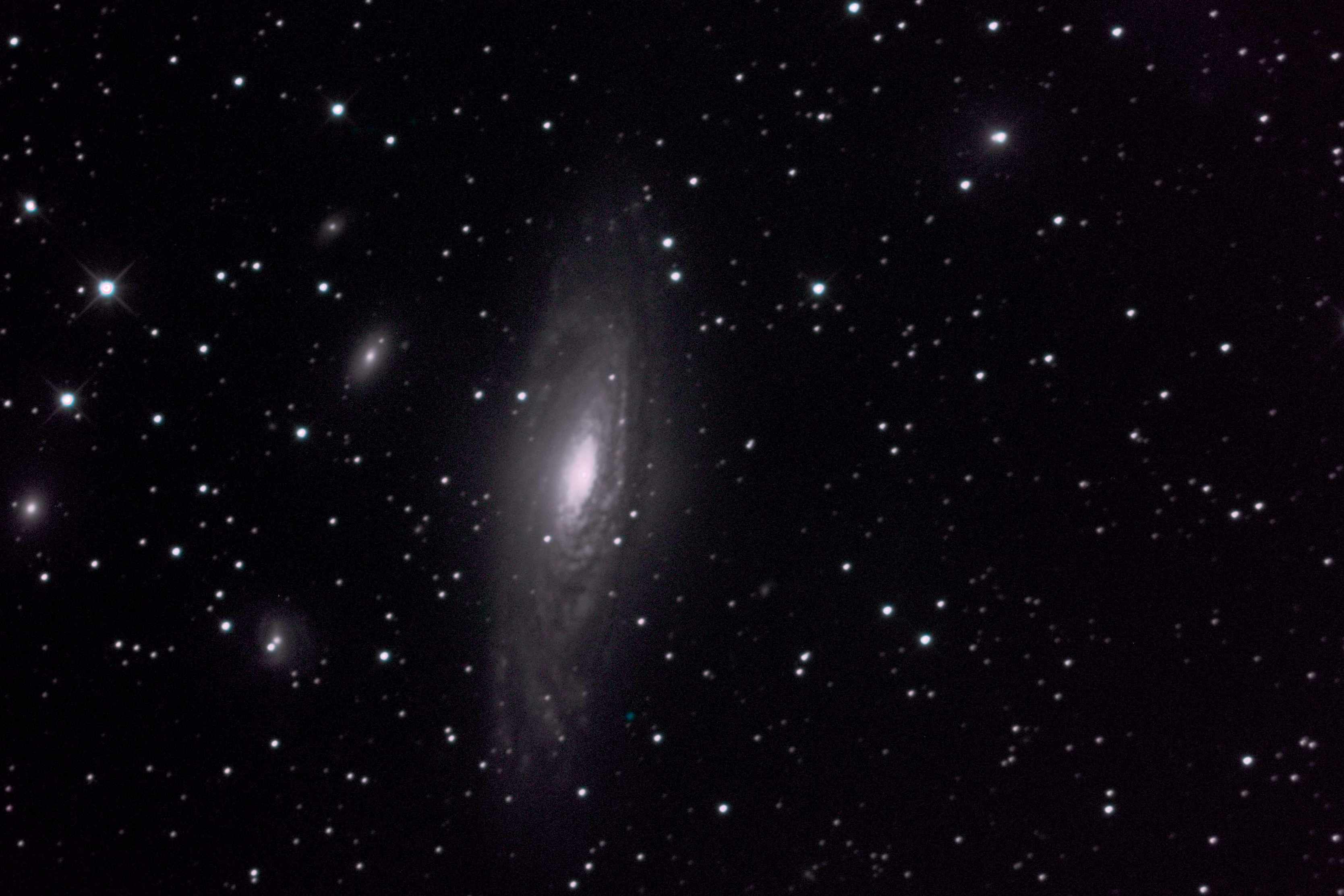 NGC7331