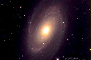 Galaxie M81