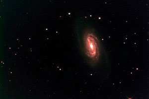 Galaxie NGC2403